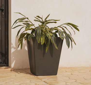 MACETERO CUADRADO CALENDULA 50 RÚSTICO COLOR