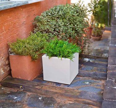 MACETERO CUADRADO DE COLOR NARCISO 35