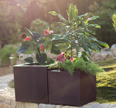 MACETERO CUADRADO DE COLOR NARCISO 35