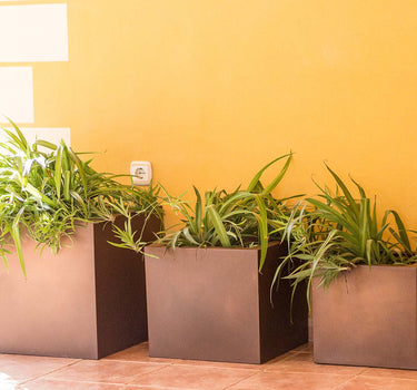 Macetero cuadrado de color NARCISO 40