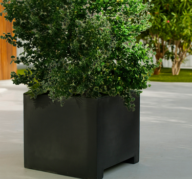 Macetero cuadrado de color NARCISO 60