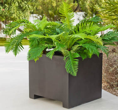 Macetero cuadrado de color NARCISO 60