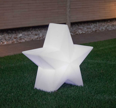 ESTRELLA NAVIDEÑA NOVA 60