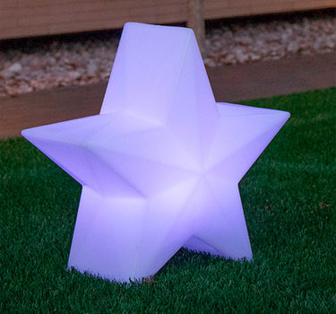 ESTRELLA NAVIDEÑA NOVA 45