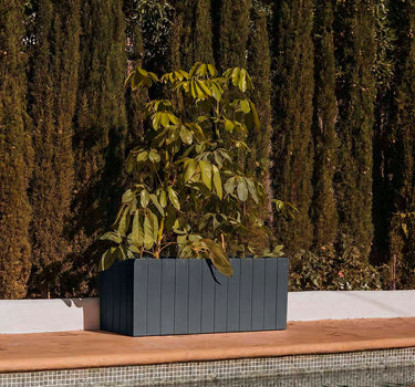 Macetero rectangular OLIVO LARGE