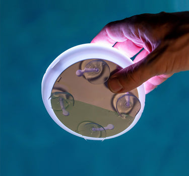 Luz para piscina sin cables PAPAYA 12 BATTERY