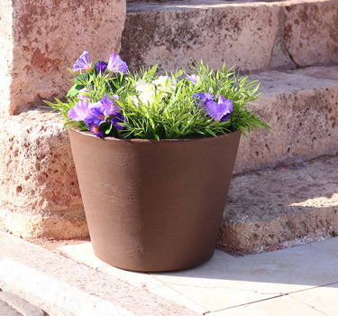 Macetero de color PETUNIA