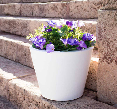 Macetero de color PETUNIA