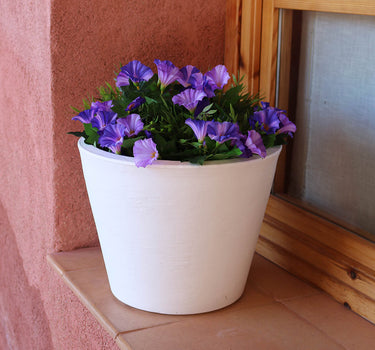 Macetero de color PETUNIA
