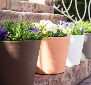 Macetero de color PETUNIA