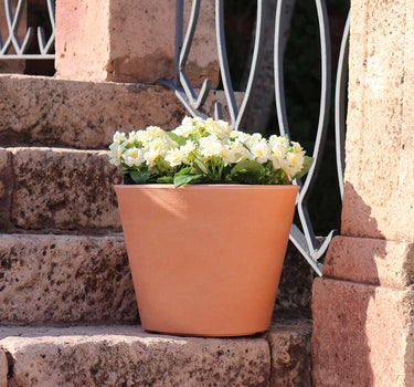 Macetero de color PETUNIA