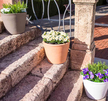 Macetero de color PETUNIA