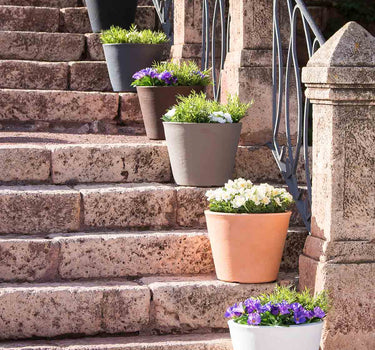 Macetero de color PETUNIA