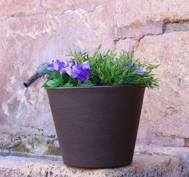 Macetero de color PETUNIA