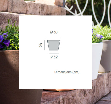 Macetero de color PETUNIA