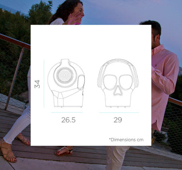 ALTAVOZ PORTÁTIL CON LUZ ROBIN PLAY