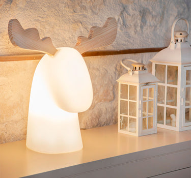 RENO ILUMINADO RUDY | USO INTERIOR