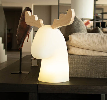 RENO ILUMINADO RUDY | USO INTERIOR