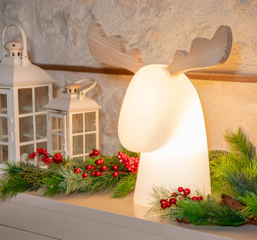 RENO ILUMINADO RUDY | USO INTERIOR