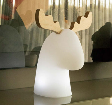 RENO ILUMINADO RUDY | USO INTERIOR