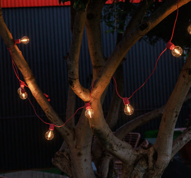 GUIRNALDA DE LUCES ALLEGRA ROSA