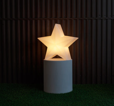 ESTRELLA NAVIDEÑA NOVA 45