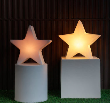 ESTRELLA NAVIDEÑA NOVA 60