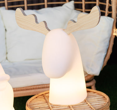 RENO ILUMINADO RUDY | USO INTERIOR