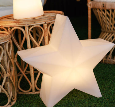 ESTRELLA NAVIDEÑA NOVA 60