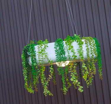 Macetero redondo colgante con iluminación sin cables ELBA 59