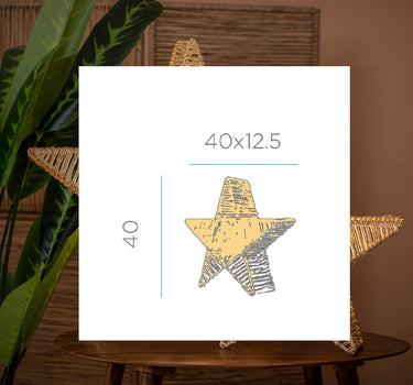 ESTRELLA DECORATIVA SISINE STAR 40