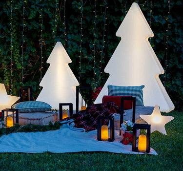 ESTRELLA NAVIDEÑA STANIS 40