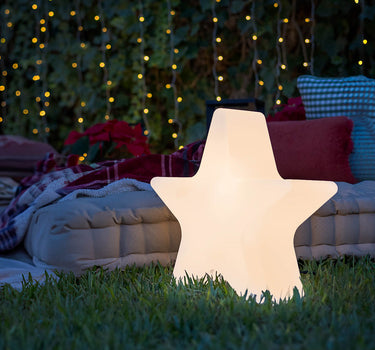 ESTRELLA NAVIDEÑA STANIS 40