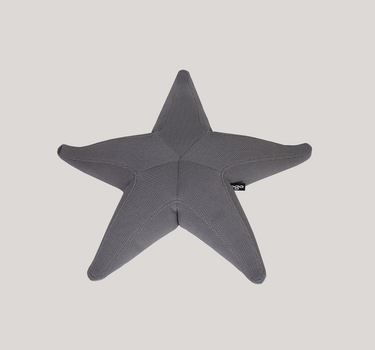 Estrella flotante Starfish