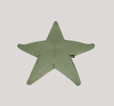 Estrella flotante Starfish
