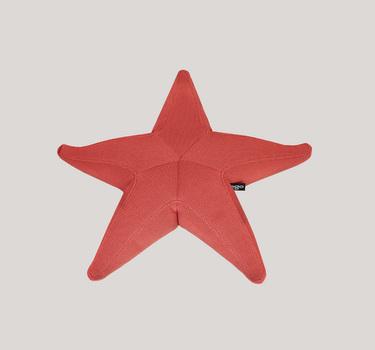 Estrella flotante Starfish