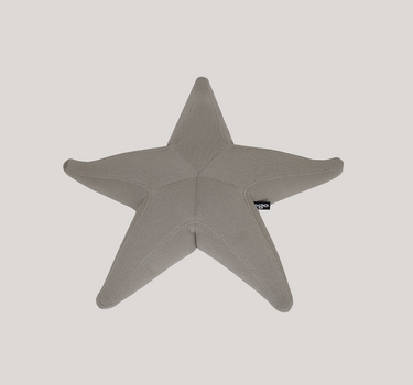 Estrella flotante Starfish