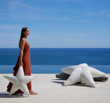 Estrella flotante Starfish