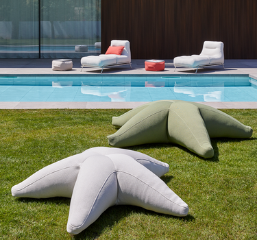 Estrella flotante Starfish