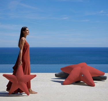 Estrella flotante Starfish