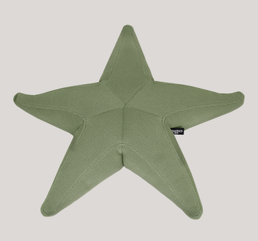 Estrella flotante Starfish