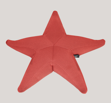 Estrella flotante Starfish