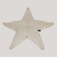 Estrella flotante Starfish