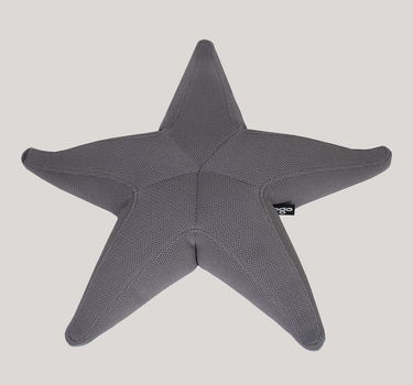 Estrella flotante Starfish