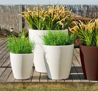 Macetero redondo de color VIOLETA 55