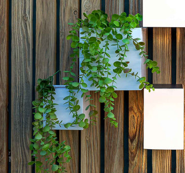 Macetero de pared Wally Pot