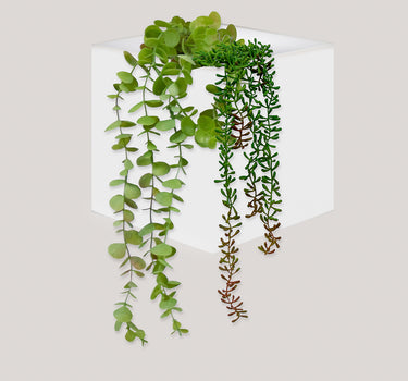 Macetero de pared Wally Pot