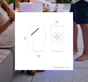 Botellero iluminado con o sin altavoz Woody