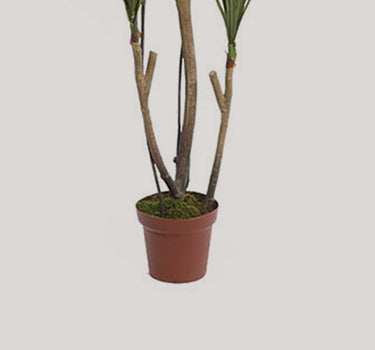 YUCA ARTIFICIAL EN MACETA 185CM