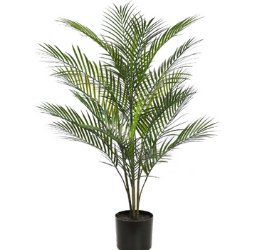 PALMERA ARECA 95CM